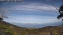 ./images/calvert/fitz-hugh-hecate/20250514/fitz-hugh-hecate20250514_160011M.jpg