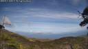 ./images/calvert/fitz-hugh-hecate/20250514/fitz-hugh-hecate20250514_160509M.jpg