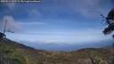 ./images/calvert/fitz-hugh-hecate/20250514/fitz-hugh-hecate20250514_162509M.jpg