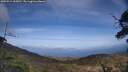 ./images/calvert/fitz-hugh-hecate/20250514/fitz-hugh-hecate20250514_163010M.jpg