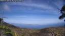 ./images/calvert/fitz-hugh-hecate/20250514/fitz-hugh-hecate20250514_163509M.jpg