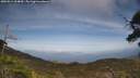 ./images/calvert/fitz-hugh-hecate/20250514/fitz-hugh-hecate20250514_164009M.jpg