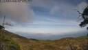 ./images/calvert/fitz-hugh-hecate/20250514/fitz-hugh-hecate20250514_165509M.jpg