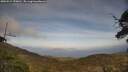./images/calvert/fitz-hugh-hecate/20250514/fitz-hugh-hecate20250514_170010M.jpg