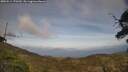 ./images/calvert/fitz-hugh-hecate/20250514/fitz-hugh-hecate20250514_170510M.jpg