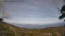 ./images/calvert/fitz-hugh-hecate/20250514/fitz-hugh-hecate20250514_171010M.jpg