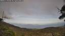 ./images/calvert/fitz-hugh-hecate/20250514/fitz-hugh-hecate20250514_171510M.jpg