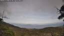 ./images/calvert/fitz-hugh-hecate/20250514/fitz-hugh-hecate20250514_172008M.jpg