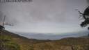 ./images/calvert/fitz-hugh-hecate/20250514/fitz-hugh-hecate20250514_172507M.jpg