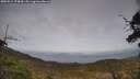 ./images/calvert/fitz-hugh-hecate/20250514/fitz-hugh-hecate20250514_173010M.jpg