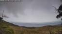 ./images/calvert/fitz-hugh-hecate/20250514/fitz-hugh-hecate20250514_173509M.jpg