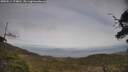 ./images/calvert/fitz-hugh-hecate/20250514/fitz-hugh-hecate20250514_174010M.jpg