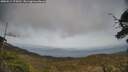 ./images/calvert/fitz-hugh-hecate/20250514/fitz-hugh-hecate20250514_174510M.jpg