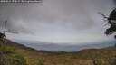 ./images/calvert/fitz-hugh-hecate/20250514/fitz-hugh-hecate20250514_175009M.jpg