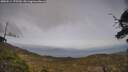 ./images/calvert/fitz-hugh-hecate/20250514/fitz-hugh-hecate20250514_175510M.jpg