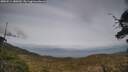./images/calvert/fitz-hugh-hecate/20250514/fitz-hugh-hecate20250514_180509M.jpg