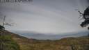./images/calvert/fitz-hugh-hecate/20250514/fitz-hugh-hecate20250514_181009M.jpg