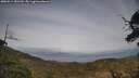 ./images/calvert/fitz-hugh-hecate/20250514/fitz-hugh-hecate20250514_181510M.jpg