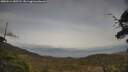 ./images/calvert/fitz-hugh-hecate/20250514/fitz-hugh-hecate20250514_182508M.jpg