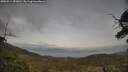 ./images/calvert/fitz-hugh-hecate/20250514/fitz-hugh-hecate20250514_183011M.jpg