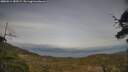 ./images/calvert/fitz-hugh-hecate/20250514/fitz-hugh-hecate20250514_183509M.jpg