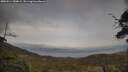 ./images/calvert/fitz-hugh-hecate/20250514/fitz-hugh-hecate20250514_184009M.jpg