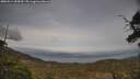 ./images/calvert/fitz-hugh-hecate/20250514/fitz-hugh-hecate20250514_184510M.jpg