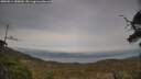./images/calvert/fitz-hugh-hecate/20250514/fitz-hugh-hecate20250514_185010M.jpg