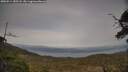 ./images/calvert/fitz-hugh-hecate/20250514/fitz-hugh-hecate20250514_185508M.jpg