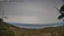 ./images/calvert/fitz-hugh-hecate/20250514/fitz-hugh-hecate20250514_190008M.jpg