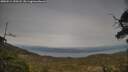 ./images/calvert/fitz-hugh-hecate/20250514/fitz-hugh-hecate20250514_190508M.jpg