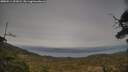 ./images/calvert/fitz-hugh-hecate/20250514/fitz-hugh-hecate20250514_191009M.jpg