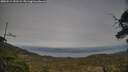 ./images/calvert/fitz-hugh-hecate/20250514/fitz-hugh-hecate20250514_191509M.jpg