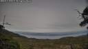 ./images/calvert/fitz-hugh-hecate/20250514/fitz-hugh-hecate20250514_192508M.jpg
