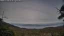 ./images/calvert/fitz-hugh-hecate/20250514/fitz-hugh-hecate20250514_193508M.jpg