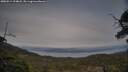 ./images/calvert/fitz-hugh-hecate/20250514/fitz-hugh-hecate20250514_194008M.jpg