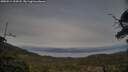 ./images/calvert/fitz-hugh-hecate/20250514/fitz-hugh-hecate20250514_194508M.jpg