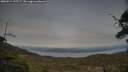 ./images/calvert/fitz-hugh-hecate/20250514/fitz-hugh-hecate20250514_195506M.jpg