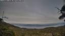 ./images/calvert/fitz-hugh-hecate/20250514/fitz-hugh-hecate20250514_200009M.jpg