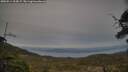 ./images/calvert/fitz-hugh-hecate/20250514/fitz-hugh-hecate20250514_202007M.jpg