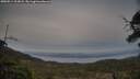 ./images/calvert/fitz-hugh-hecate/20250514/fitz-hugh-hecate20250514_203008M.jpg
