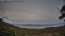 ./images/calvert/fitz-hugh-hecate/20250514/fitz-hugh-hecate20250514_204008M.jpg