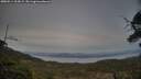 ./images/calvert/fitz-hugh-hecate/20250514/fitz-hugh-hecate20250514_204508M.jpg