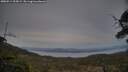 ./images/calvert/fitz-hugh-hecate/20250514/fitz-hugh-hecate20250514_205009M.jpg