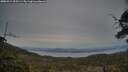 ./images/calvert/fitz-hugh-hecate/20250514/fitz-hugh-hecate20250514_205504M.jpg