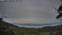 ./images/calvert/fitz-hugh-hecate/20250514/fitz-hugh-hecate20250514_210009M.jpg
