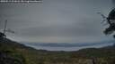 ./images/calvert/fitz-hugh-hecate/20250514/fitz-hugh-hecate20250514_211008M.jpg