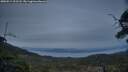 ./images/calvert/fitz-hugh-hecate/20250514/fitz-hugh-hecate20250514_211507M.jpg