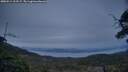 ./images/calvert/fitz-hugh-hecate/20250514/fitz-hugh-hecate20250514_212507M.jpg