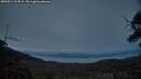 ./images/calvert/fitz-hugh-hecate/20250514/fitz-hugh-hecate20250514_214508M.jpg